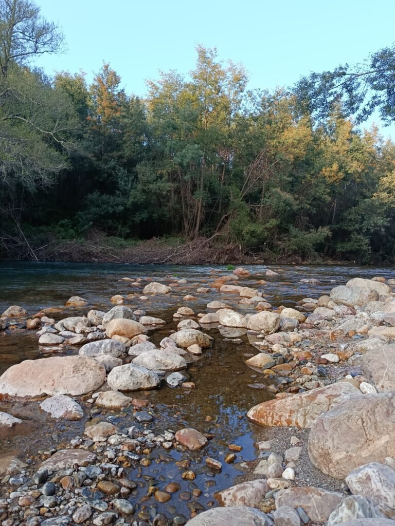 Área exterior Rio Ceira