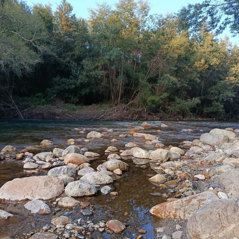 Área exterior Rio Ceira